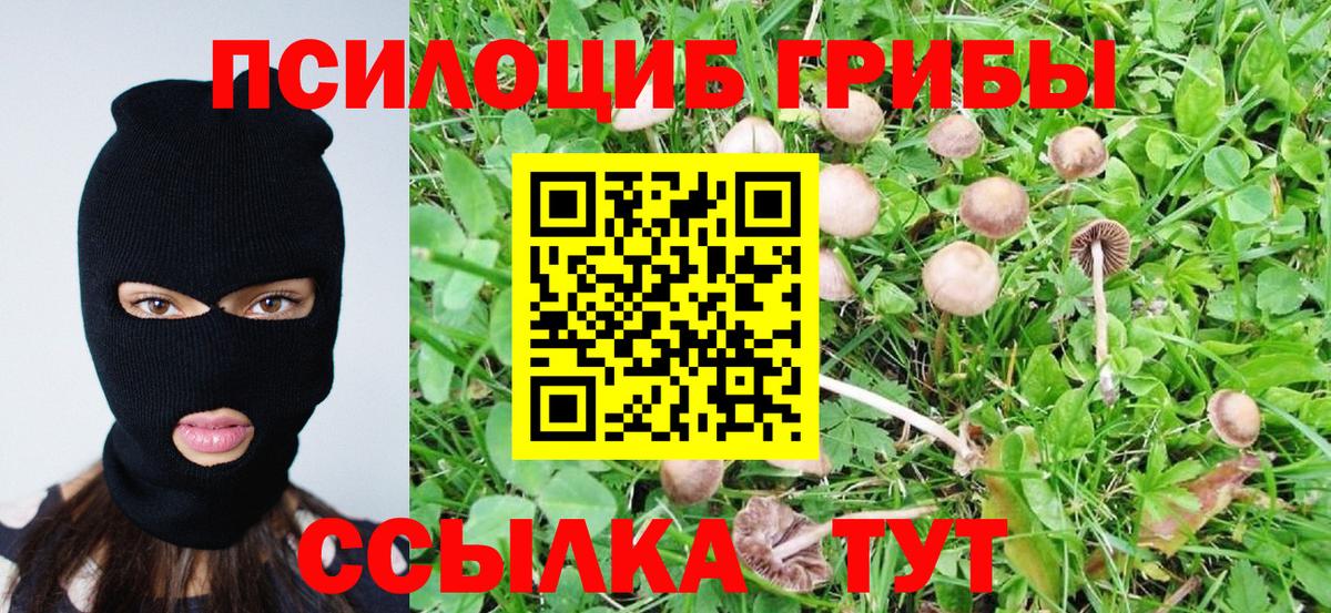 Галлюциногенные грибы мицелий Туапсе