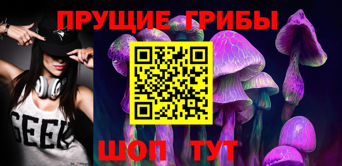 Галлюциногенные грибы MAGIC MUSHROOMS  Псилоцибиновые грибы Psilocybine cubensis  Туапсе  Вход с VPN 